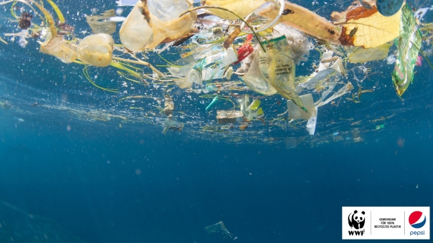 PepsiCo will mit WWF-Hilfe nachhaltiger werden - Quelle: WWF / Vincent Kneefel